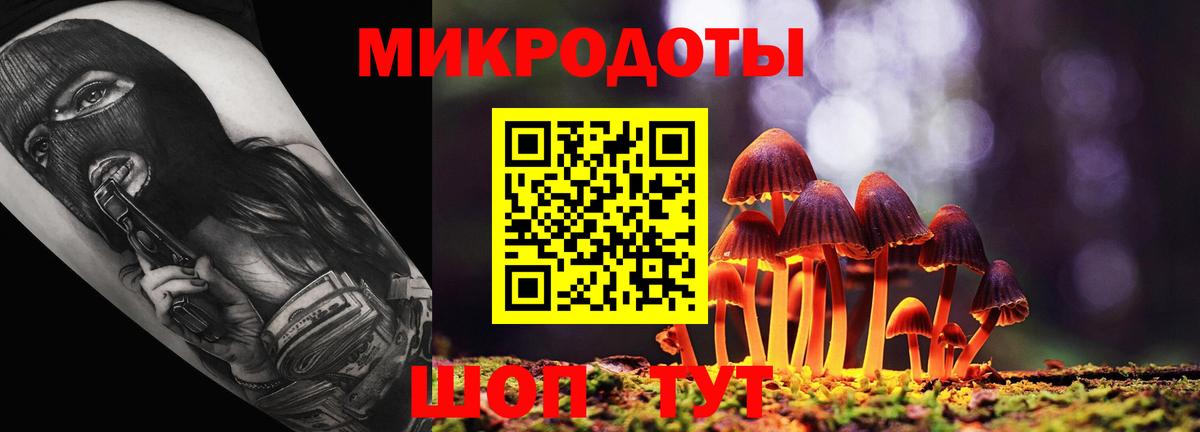 Галлюциногенные грибы MAGIC MUSHROOMS Энгельс
