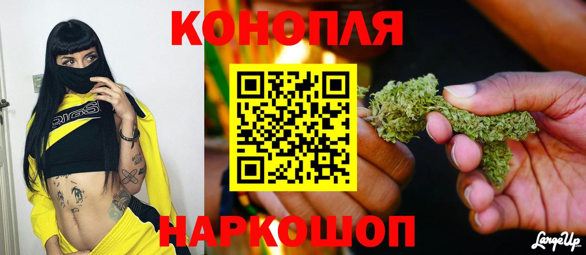 Бошки Шишки гибрид Энгельс